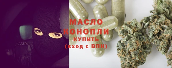 индика Вязьма